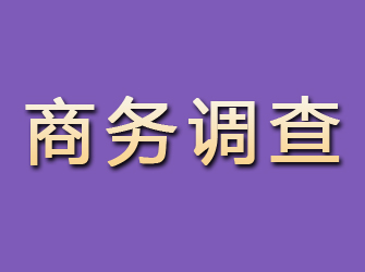 平谷商务调查